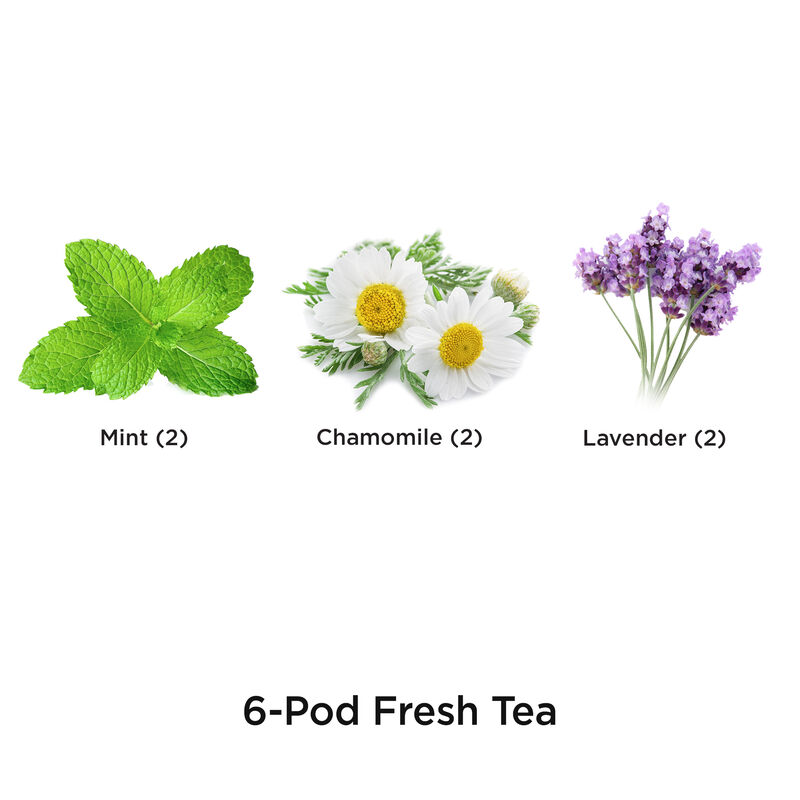 Fresh Tea Seed Kit image number null